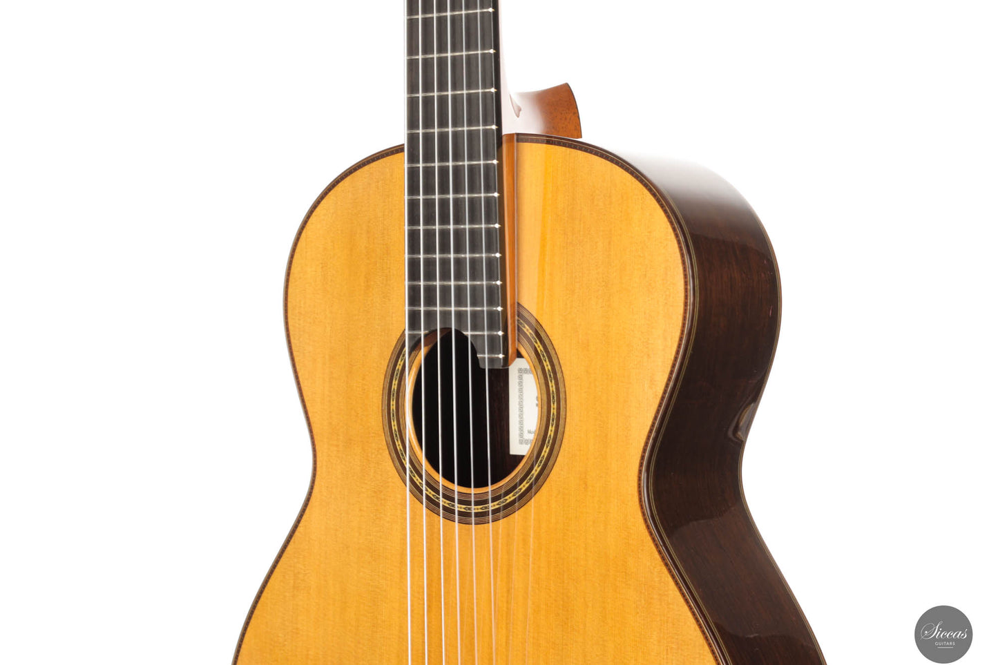 Masaki Sakurai - 2025 Maestro-RF Cedar 64 cm