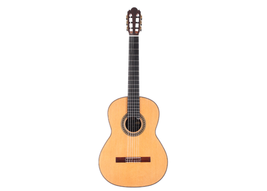 Milestones - Dammann Modell