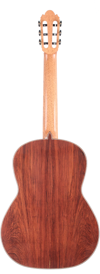 Milestones - Dammann Modell