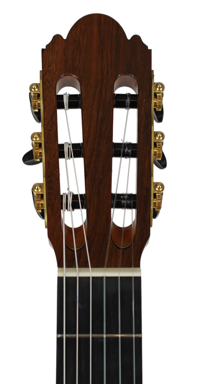 Milestones - Torres Model