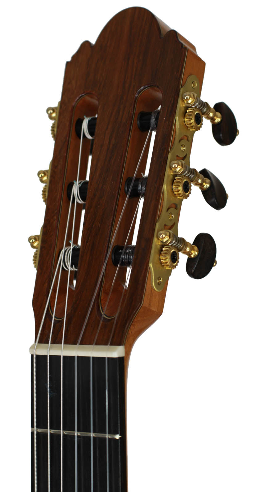 Milestones - Torres Model