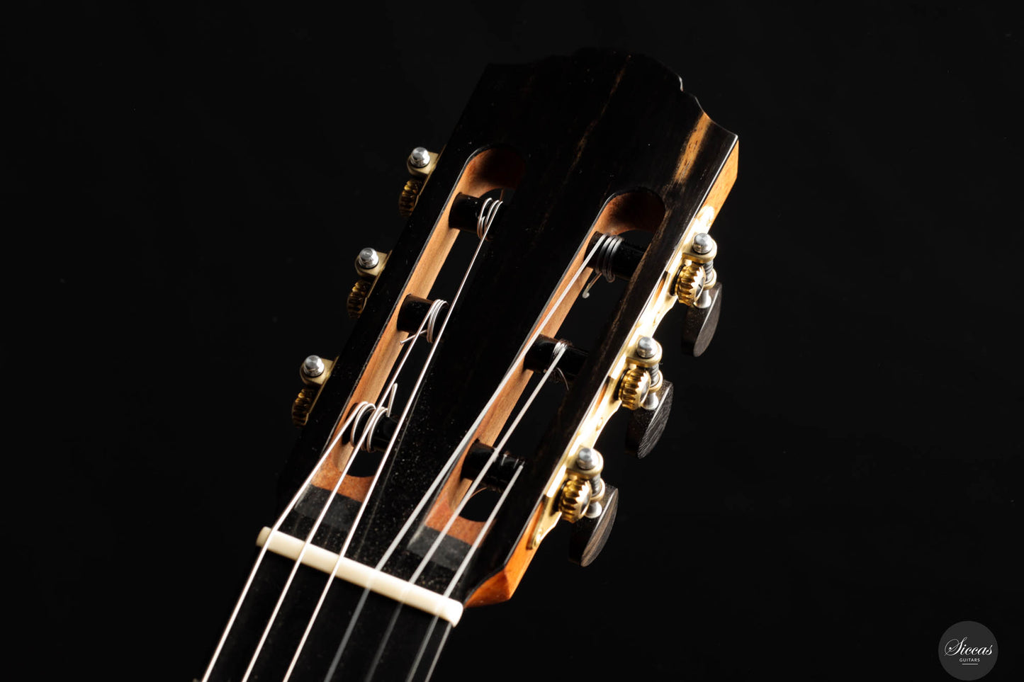 Nils Schebesta - 2024 Balsa Doubletop