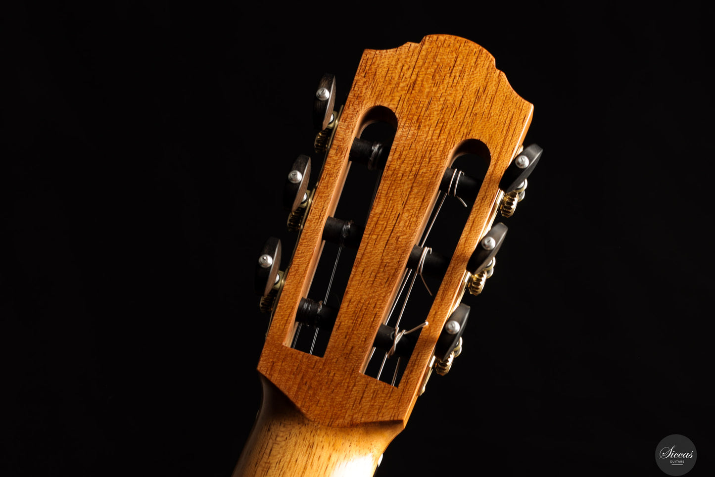 Nils Schebesta - 2025 No. 39 - Doubletop