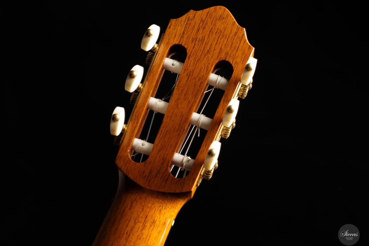 Paolo Coriani - 2025 No. 272