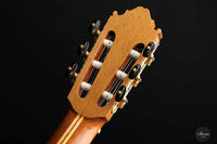 Petar Antic - 2009 No. 4