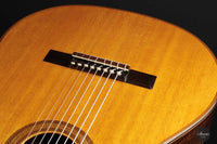 Petar Antic - 2015 8-string