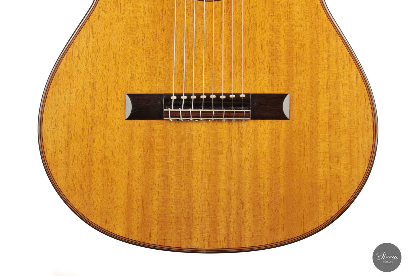 Petar Antic - 2015 8-string