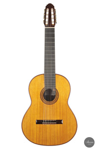 Petar Antic - 2015 8-string