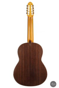 Petar Antic - 2015 8-string