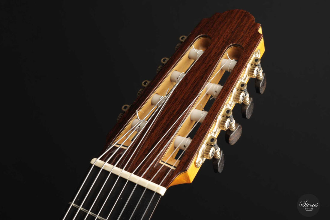 Petar Antic - 2015 8-string