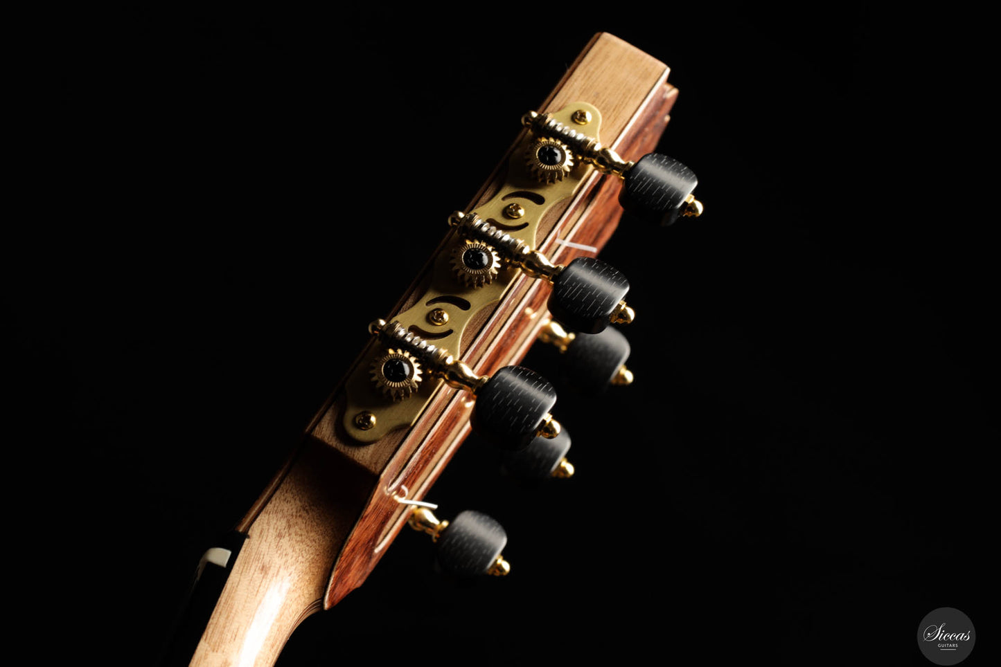 Ramin Fallah - 2024 No. 461 Spruce Granadillo
