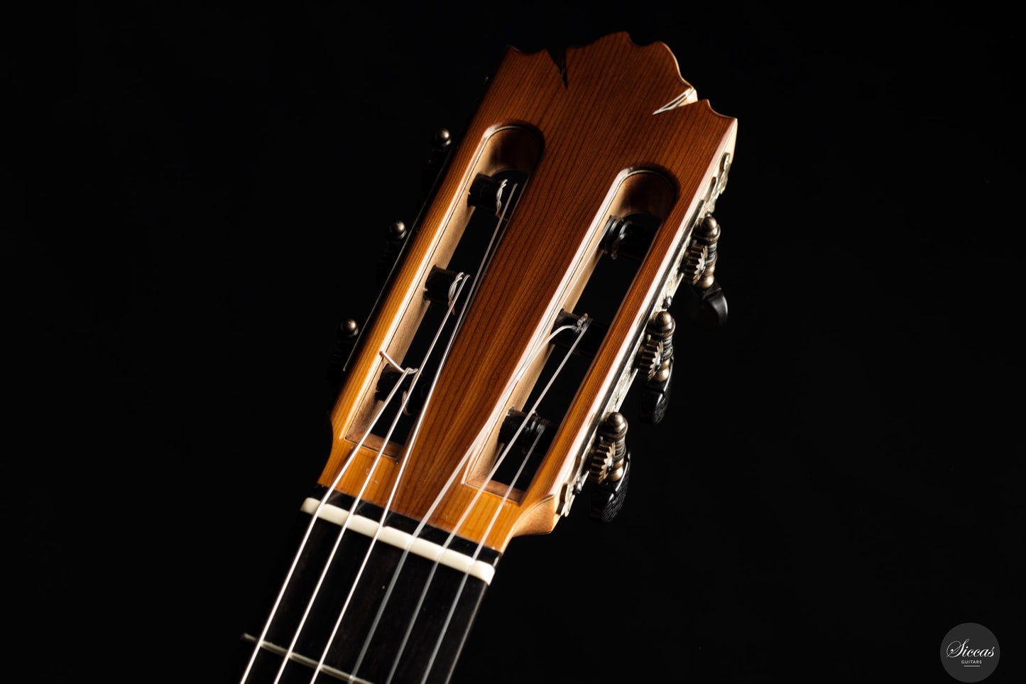 Ramin Fallah - 2025 Spruce/ Yew No. 470