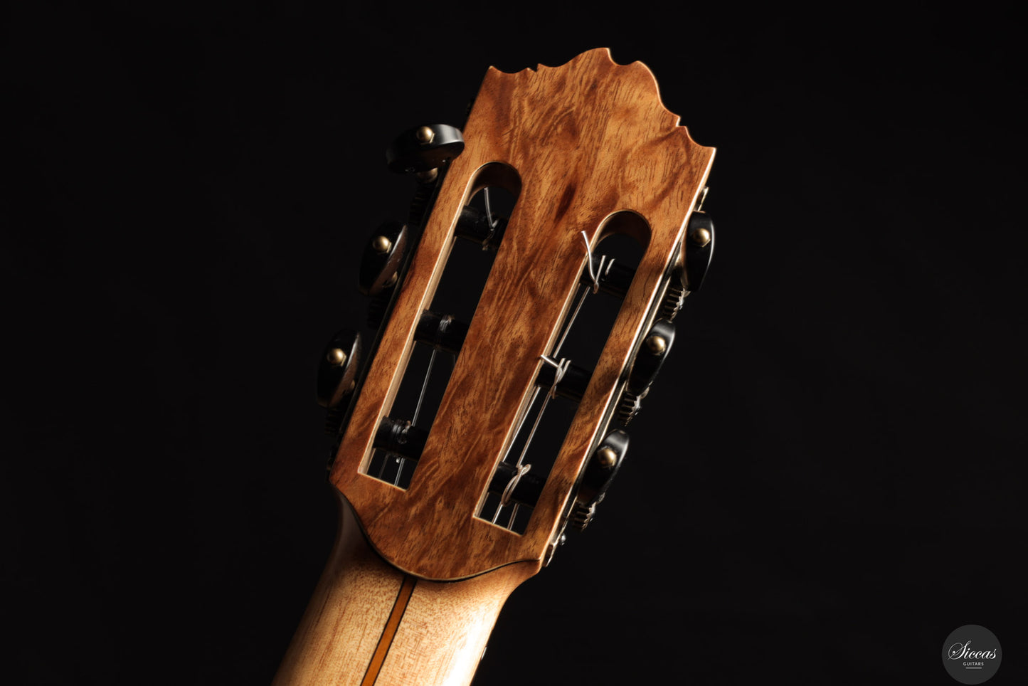 Ramin Fallah - 2025 Spruce/ Yew No. 470