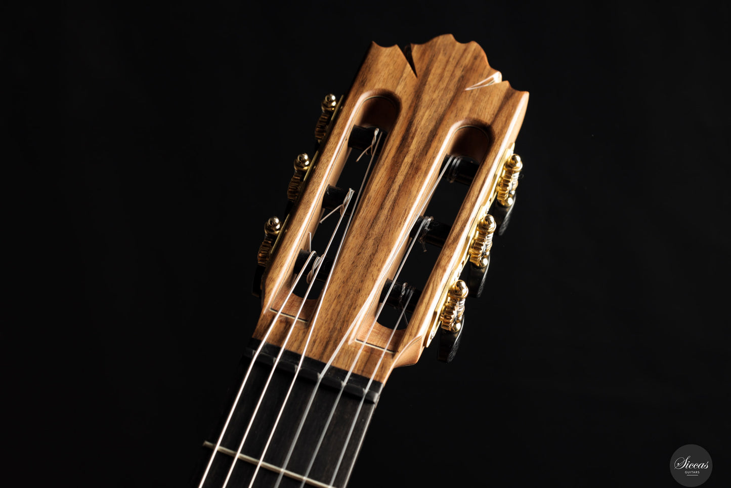 Ramin Fallah - 2025 Spruce/Amazon rosewood C-Stage No. 475 ON HOLD