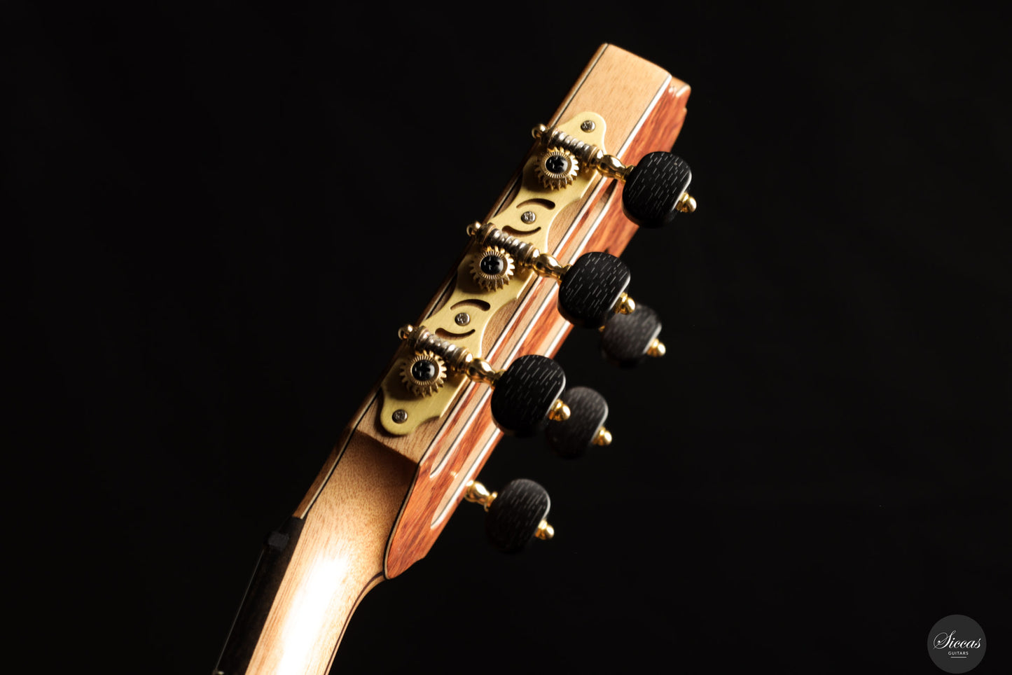 Ramin Fallah - 2025 Spruce/Amazon rosewood C-Stage No. 475 ON HOLD