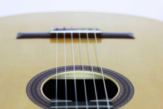 Antonio Raya Ferrer - 2015 img-2