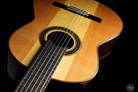 Siccas Luthiers - Creation Doubletop Triptych img-2