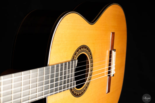 So Kimishima - 2025 - Stella Cedar 64 cm img-2