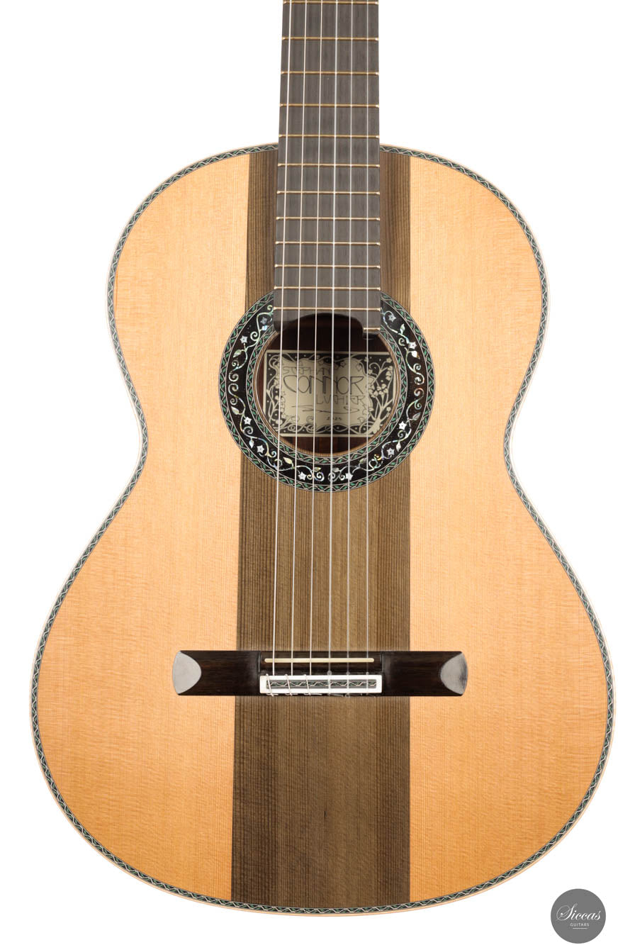 Stephan Connor - 2025 Doubletop "Floresta"