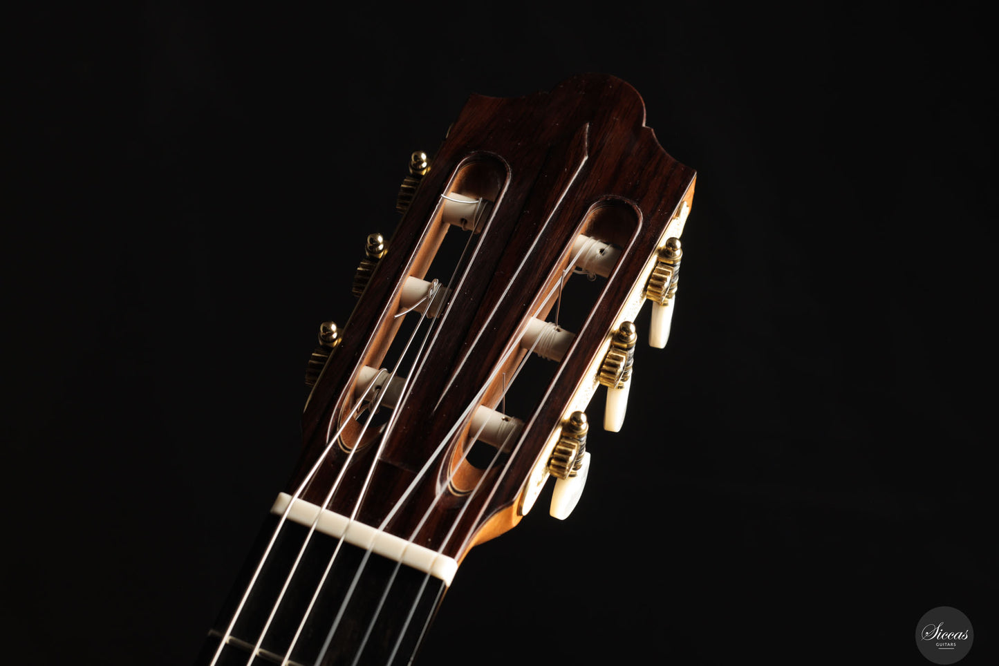 Stephen Eden - 2025 - "Friederich" No. 216