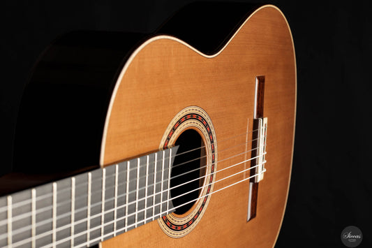 Stephen Eden - 2024 "Daniel Friederich - 1980" No. 209 img-2