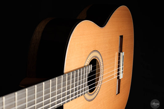 Stephen Hill - 2023 "Segovia" No. 282 img-2