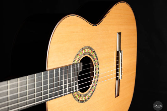 Steven Toon - 2024 - No. 118 DT - 64 cm img-2