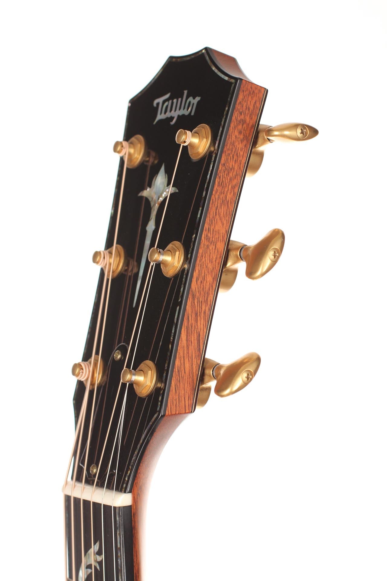 Taylor - PS14ce