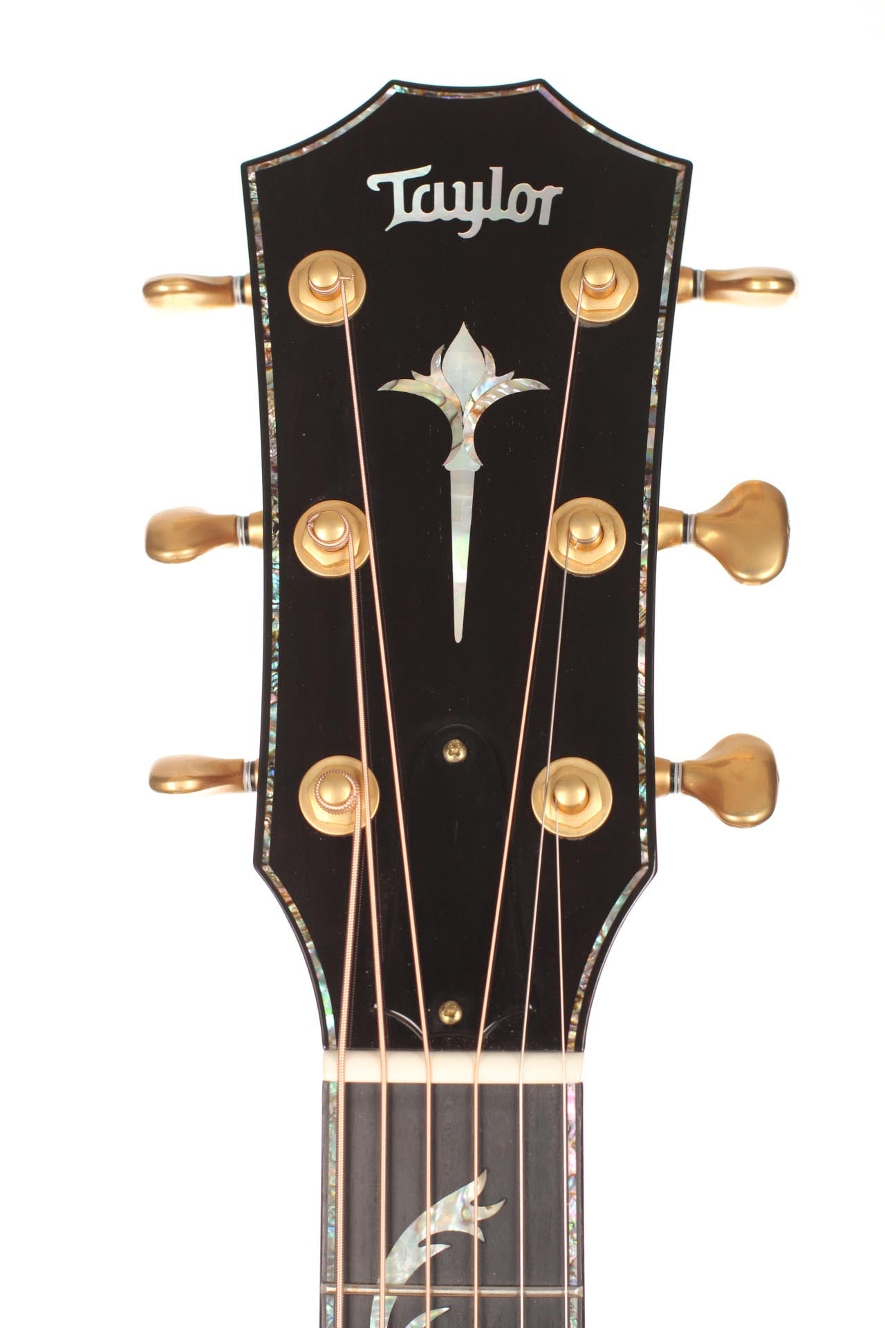 Taylor - PS14ce