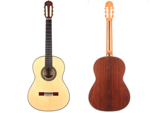 Teodoro Pérez - Maestro Especial 2017 img-2