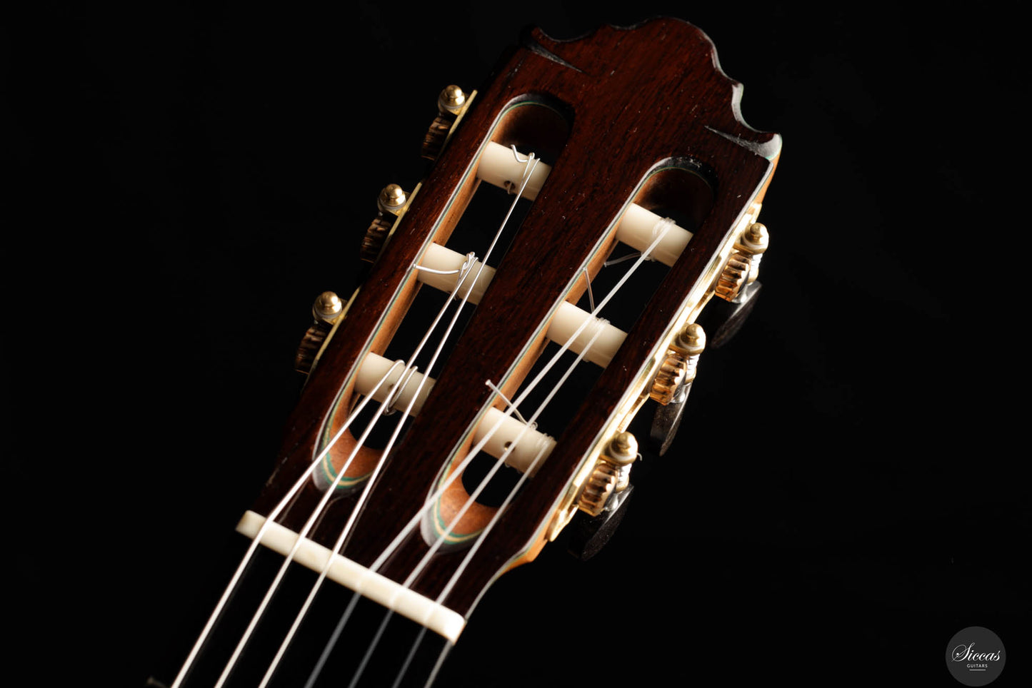 Vicente Carrillo - Maestro NX 2024 (Gernot Wagner Supervised)