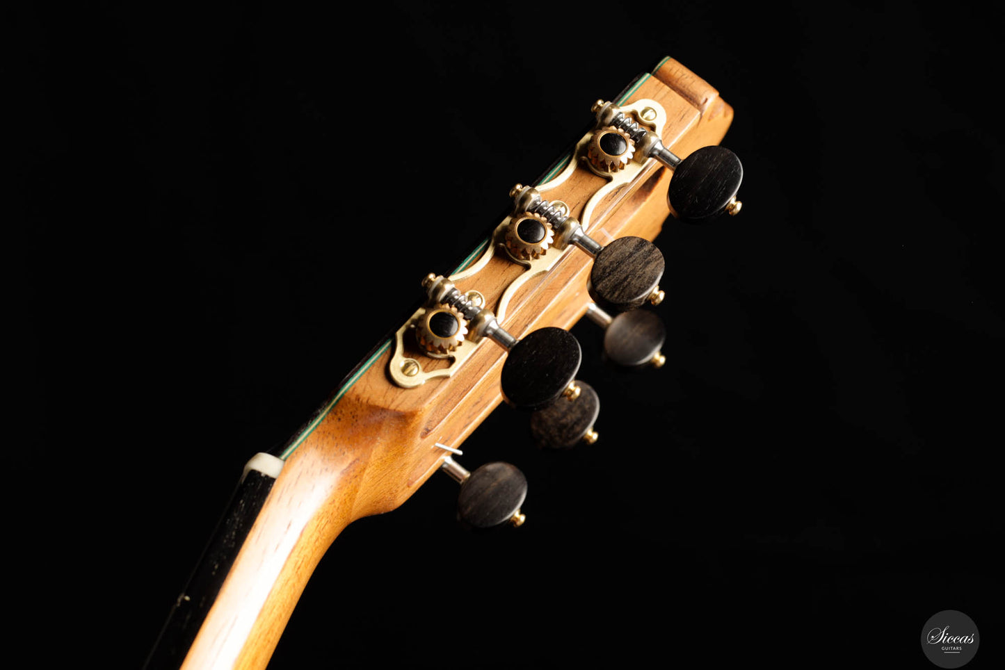 Vicente Carrillo - Maestro NX 2024 (Gernot Wagner Supervised)