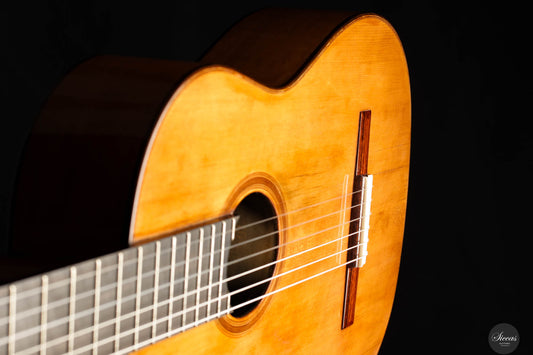 Wolfgang Jellinghaus - FE 04 La Leona Tornavoz img-2