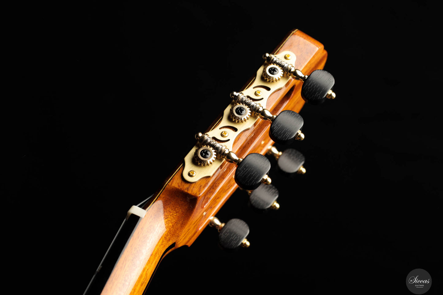 Yulong Guo - 2023 No. 78 Doubletop