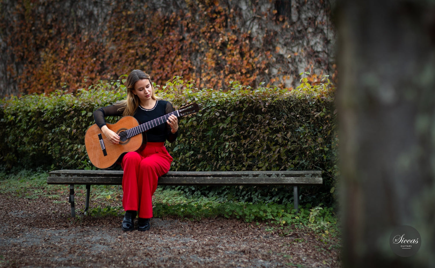 Does Ed Sheeran Play Classical Guitar? His Fingerstyle Roots Explained