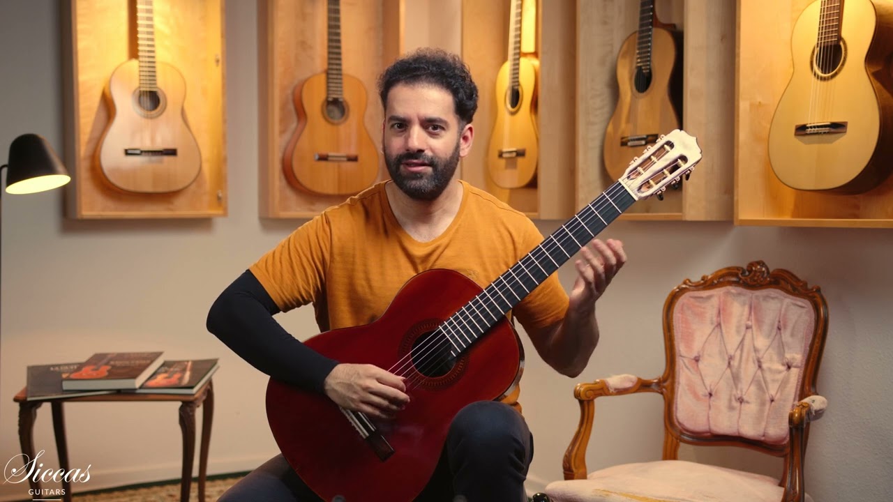 Saeid Aboutalebian – Iranian-Born Luthier in Barcelona