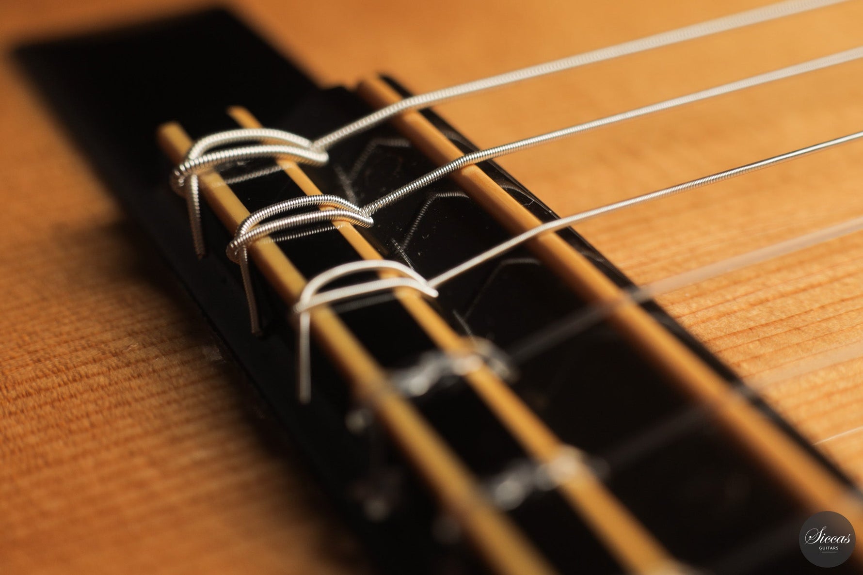 Siccas Luthiers up to 1.500 €