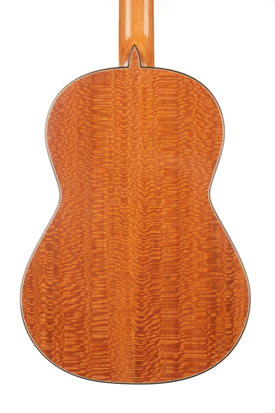 Paulino Bernabé - 2020 640mm