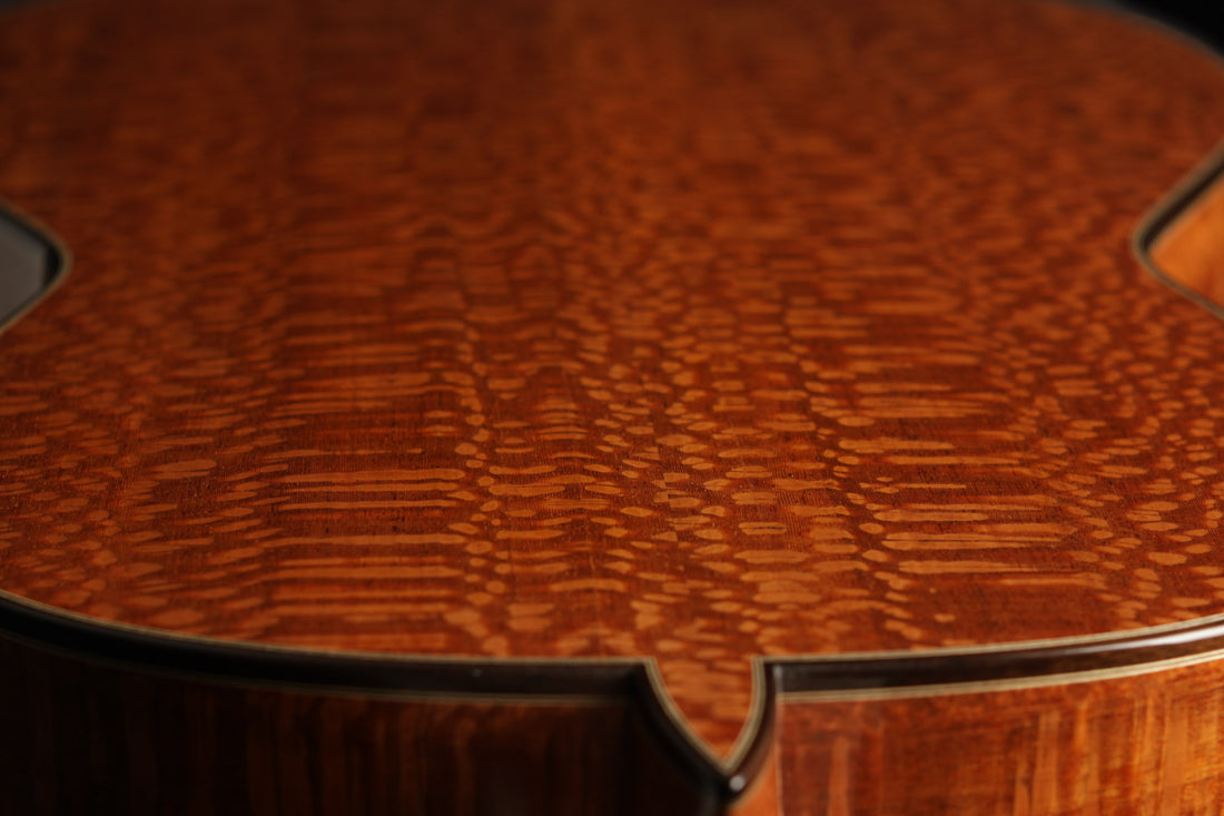 Paulino Bernabé - 2020 640