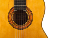 Carl Hermann Schäfer - 2019 "Santos Hernandez"