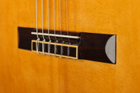 Carl Hermann Schäfer - 2019 "Santos Hernandez"
