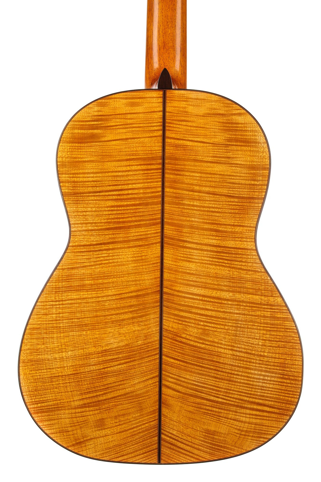 Carl Hermann Schäfer - 2019 "Santos Hernandez"