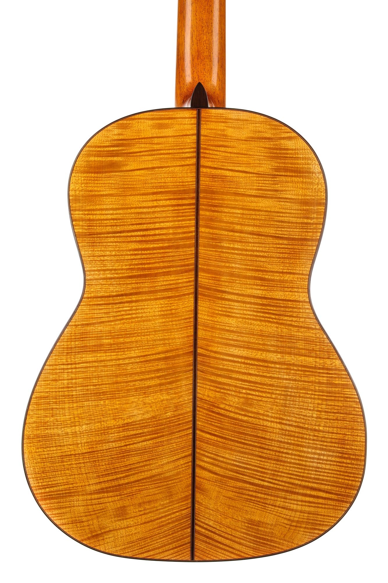 Carl Hermann Schäfer - 2019 "Santos Hernandez"