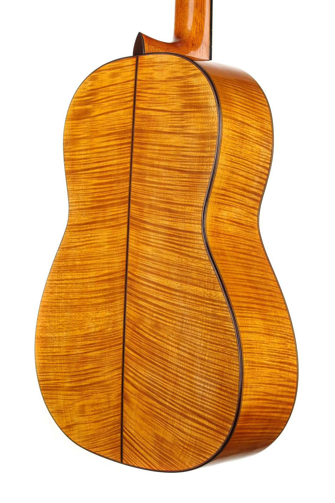Carl Hermann Schäfer - 2019 "Santos Hernandez"