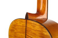 Carl Hermann Schäfer - 2019 "Santos Hernandez"