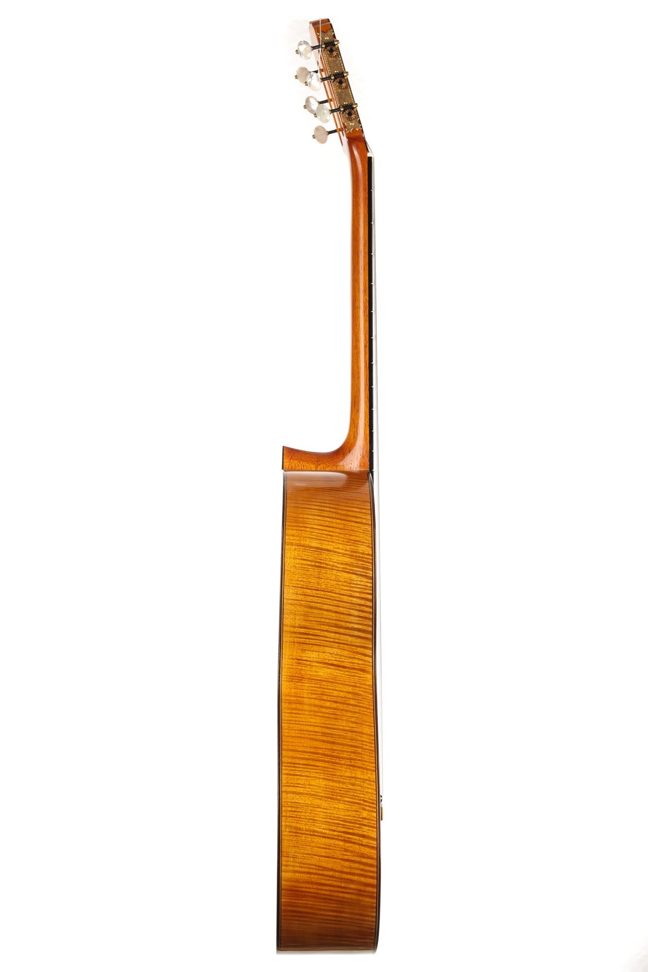 Carl Hermann Schäfer - 2019 "Santos Hernandez"
