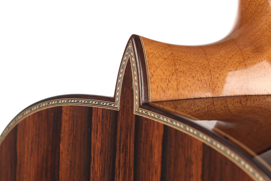 Paulino Bernabé - 2020 Especial