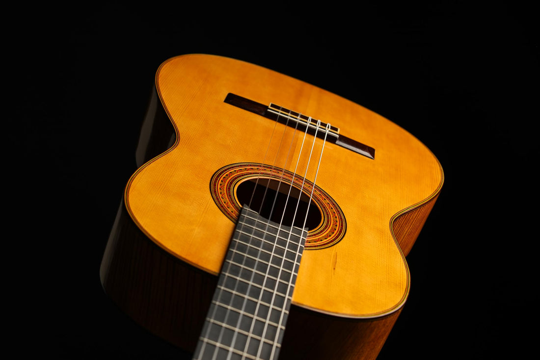 Carl Hermann Schäfer - 2019 "Santos Hernandez"