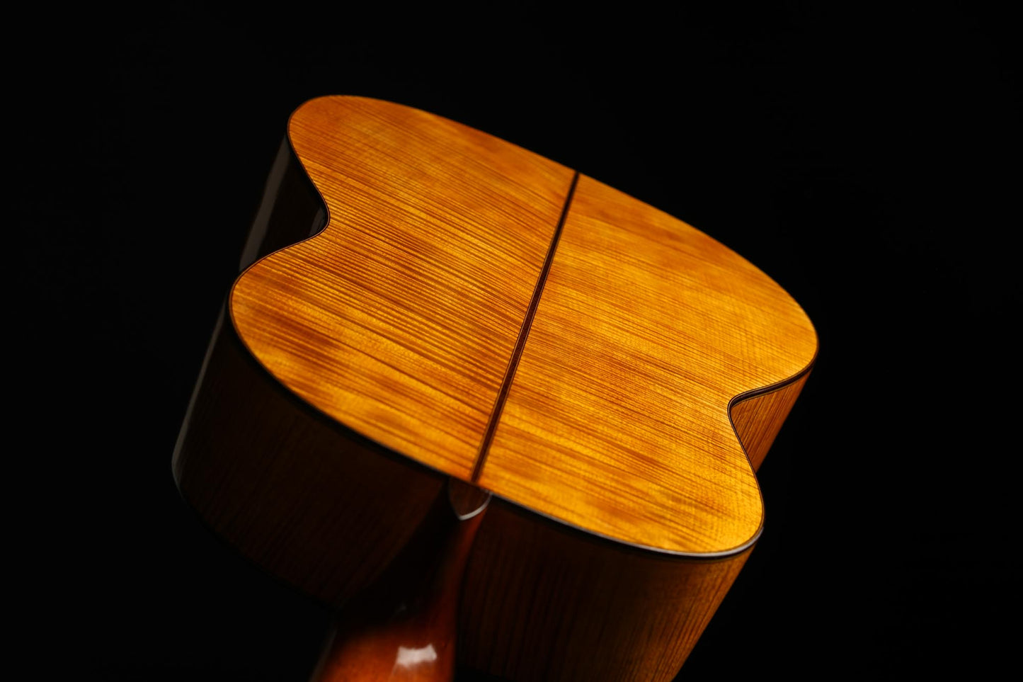 Carl Hermann Schäfer - 2019 "Santos Hernandez"