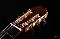 Olivier Planchon - 2020